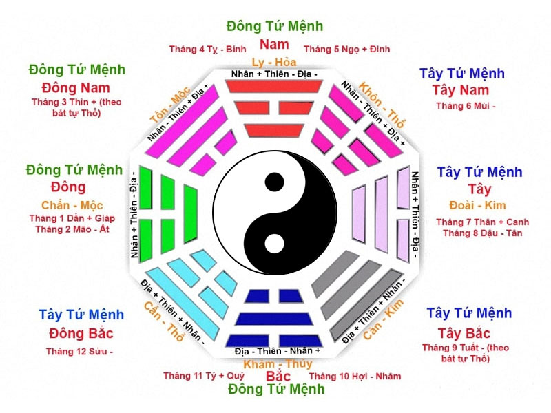Đông Tứ Trạch Là Gì